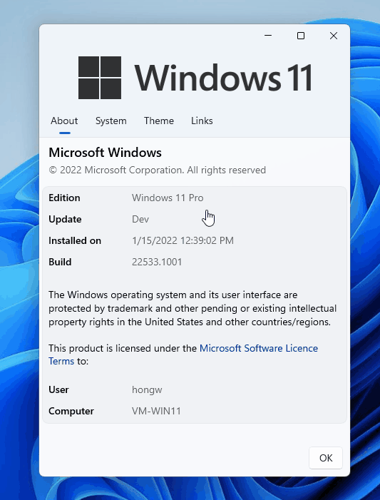 Win11商店 Win11应用