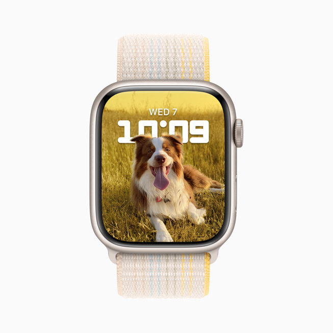 Apple Watch Series 8 显示带有小狗照片的“人像”表盘